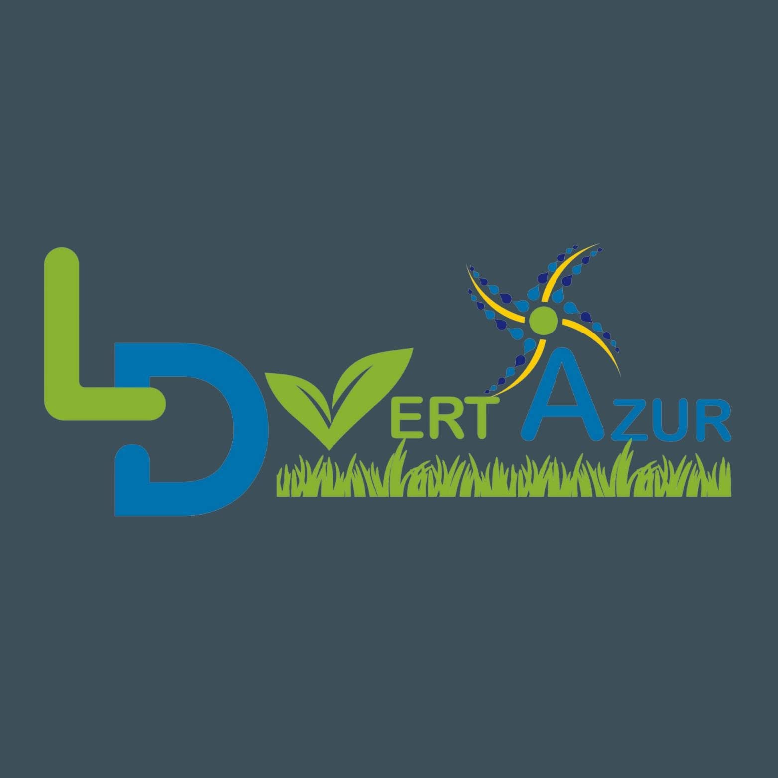 Logo LD Vert Azur