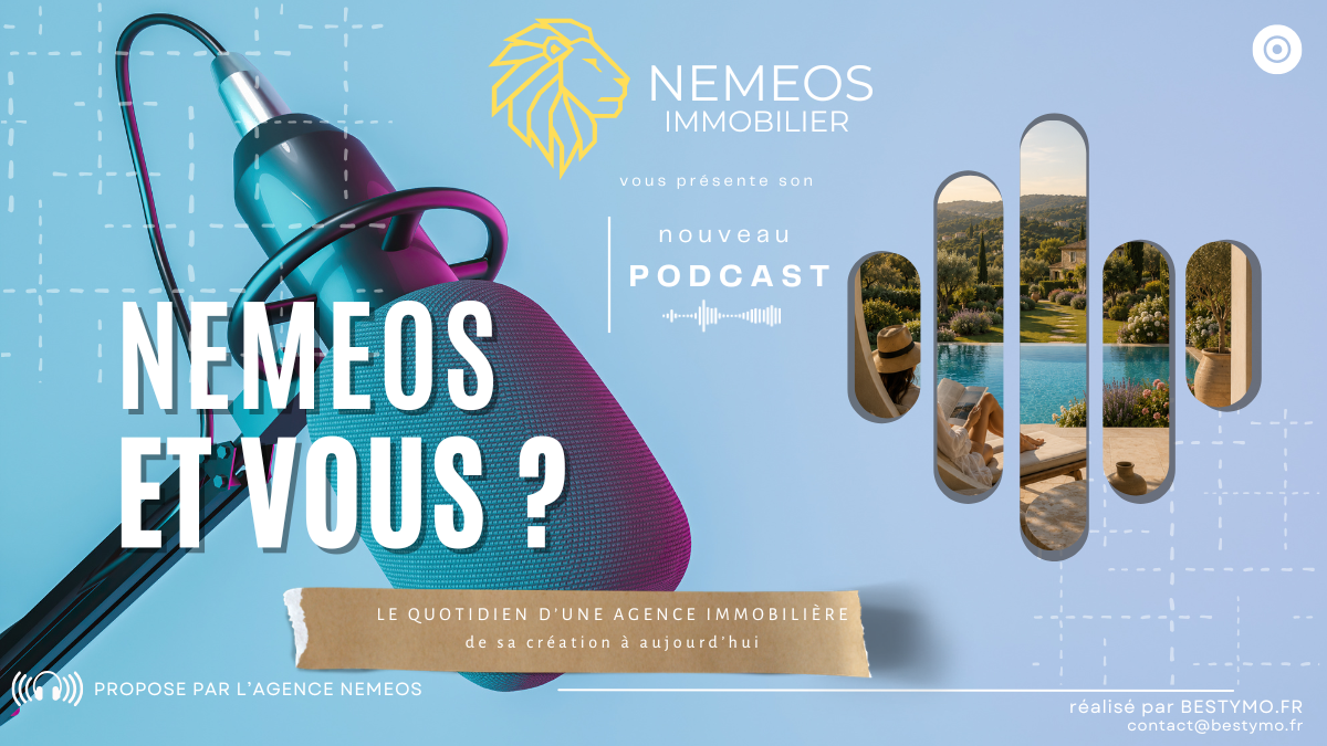 Nemeos et vous - Épisode 01 : l'histoire derrière l'agence